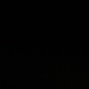 Meet your Posher, Jayla